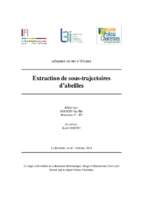 Extraction de sous trajectoires d’abeilles