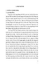 Skkn một số biện pháp rèn luyện kỹ năng viết ở bộ môn tiếng anh thcs