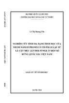 “nghiên cứu tính đa dạng sinh học của nhóm nấm hyphomycetes phân lập từ lá cây mục (litter fungi) ở một số rừng quốc gia việt nam
