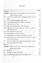 Phát triển hệ chương trình xử lý, phân tích tài liệu phân cực kích thích ở việt nam