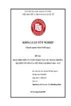 Hoạt động đầu tư nước ngoài vào các trang thương mại điện tử lớn tại việt nam giai đoạn 2014 – nay