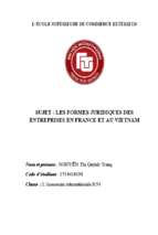 Tiểu luận tiếng pháp les formes juridiques des entreprises en france et au vietnam
