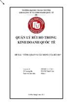 Tiểu luận quản lý rủi ro td tổng quan và tác động của rủi ro