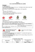 đột phá 9+ môn tiếng anh kì thi vào lớp 10 thpt (bản word)