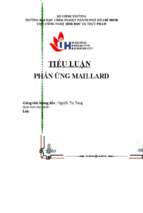 Tiểu luận phản ứng maillard