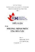 Tiểu luận phương trình phản ứng hóa nâu