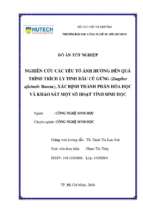 Nghiên cứu các yếu tố ảnh hưởng đến quá trình trích ly tinh dầu củ gừng (zingiber offcinale rose), xác định thành phần hóa học và khảo sát một số hoạt tính sinh học