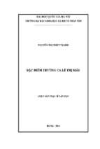 đặc điểm trường ca lê thị mây