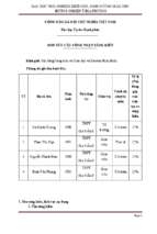 Skkn dạy học trải nghiệm mặt nón, định hướng giáo dục hướng nghiệp ở địa phương