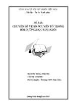 Skkn chuyên đề về số nguyên tố trong bồi dưỡng học sinh giỏi môn tin học