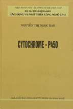 Cytochrome   p450