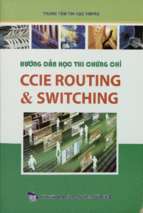 Hướng dẫn học thi chứng chỉ ccie routing & switching
