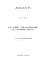 Luận văn các metric vi phân kobayashi, caratheodory và sibony