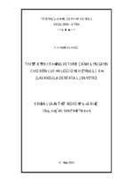 Luận văn thiết kế hệ thống vi thủy canh đơn giản cho rèn luyện loài oải hương lá xẻ (lavandula dentata l.) in vitro​