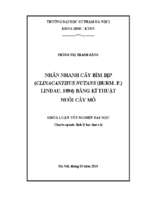 Luận văn nhân nhanh cây bìm bịp (clinacanthus nutans (burm. f.) lindau, 1894) bằng kĩ thuật nuôi cấy mô​