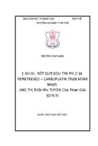 đánh giá kết quả điều trị phác đồ pemetrexed   carboplatin trên bệnh nhân ung thư biểu mô tuyến của phổi giai đoạn iv.