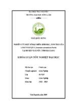 Nghiên cứu đặc điểm sinh học, sinh thái của loài sói rừng (sarcandra glabra (thunb.) nakai) tại huyện vị xuyên, tỉnh hà giang (khóa luận tốt nghiệp)