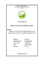 Tìm hiểu cơ cấu tổ chức và hoạt động sản xuất kinh doanh của công ty tnhh bình vinh tại đài loan (khóa luận tốt nghiệp)