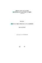 Tính toán phi tuyến tấm và vỏ composite