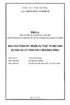 Báo cáo tổng kết nhiệm vụ thực thi mô hình dự báo sự cố tràn dầu trên biển đông