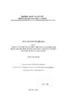 Nghiên cứu chế tạo cảm biến điện hoá và sinh học làm detector cho thiết bị phân tích dòng chảy phục vụ phân tích môi trường và thực phẩm