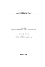 Mô phỏng số tương tác vật rắn   chất lỏng