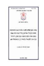 Nghiên cứu hiệu quả giảm đau sau mổ của gây tê đám rối thần kinh thắt lưng dưới hướng dẫn của siêu âm trong các phẫu thuật chi dưới