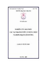 Nghiên cứu giải phẫu các vạt mạch xuyên cơ bụng chân và động mạch gối xuống