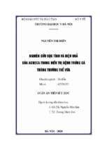 Nghiên cứu độc tính và hiệu quả của acneca trong điều trị bệnh trứng cá thông thường thể vừa