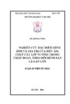 Nghiên cứu đặc điểm hình ảnh và giá trị của siêu âm, chụp cắt lớp vi tính trong chẩn đoán, theo dõi bệnh sán lá gan lớn