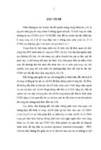 Nghiên cứu vai trò của theo dõi liên tục áp lực oxy tổ chức não trong hướng dẫn hồi sức bệnh nhân chấn thương sọ não nặng