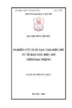 Nghiên cứu nuôi tạo tấm biểu mô từ tế bào gốc biểu mô niêm mạc miệng