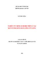 Nghiên cứu bệnh gumboro trên gà tại một số tỉnh đồng bằng sông cửu long