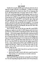 Nghiên cứu khả năng cố định ổ gãy trên thực nghiệm và kết quả điều trị gãy kín đầu dưới xương đùi người lớn bằng nẹp khóa tt