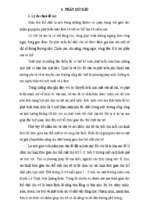 Skkn một số giải pháp nhằm nâng cao chất lượng giáo dục thể chất cho trẻ 5 6 tuổi ở trường mầm non