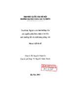 Nghiên cứu ảnh hưởng của các nguồn phân bón chứa nitơ đến môi trường đất và chất lượng nông sản