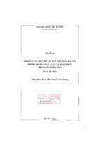Nghiên cứu, thiết kế thử đầu thu phát dải tần 900mhz nhằm nâng cao cự ly hoạt động cho mạng không dây