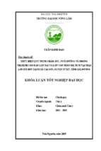 Thực hiện quy trình chăm sóc, nuôi dưỡng và phòng trị bệnh cho đàn lợn nái và lợn con theo mẹ nuôi tại trại lợn bùi huy hạnh xã tái sơn, huyện tứ kỳ, tỉnh hải dương