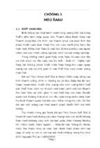 Tính toán thiết kế hệ thống xử lý nước thải sinh hoạt cho khu nghỉ dưỡng twin doves golf club & resort xã phú mỹ, thị xã thủ dầu một, tỉnh bình dương công suất 3000 m3