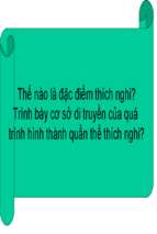 Thế nào là đặc điểm thích nghi trình bày cơ sở di truyền của quá trình hình thành quần thể thích nghi.ppt