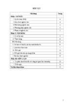 Skkn một số kinh nghiệm về giáo dục hòa nhập học sinh khiếm thị ở thcs