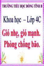 Slide bài giảng gió nhẹ gió mạnh. phòng chống bão.ppt