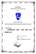Tiểu luận môn học nhập môn ngành công nghệ vật liệu composite gốm   vật liệu cho tương lai