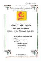 Bao cao bai tap lon mon khai pha du lieu phan lop du lieu so bang giai thuat k nn