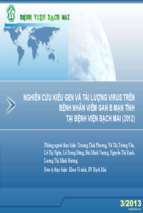 [123doc]   nghien cuu kieu gen va tai luong virus tren benh nhan viem gan b man tinh tai benh vien bach mai nam 2012