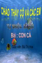 Slide bài giảng tnxh1   con cá.ppt