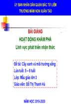 Slide bài giảng cây xanh và môi trường sống.pptx