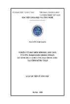 Nghiên cứu đặc điểm sinh học, sinh thái của ong anisopteromalus calandrae (howard) ký sinh mọt cánh cứng hại trong kho tại tỉnh đồng tháp