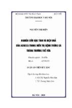  nghiên cứu độc tính và hiệu quả của acneca trong điều trị bệnh trứng cá thông thường thể vừa 