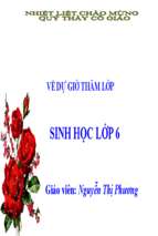 Slide bài giảng  nguồn gốc của cây trồng (sinh 6).ppt